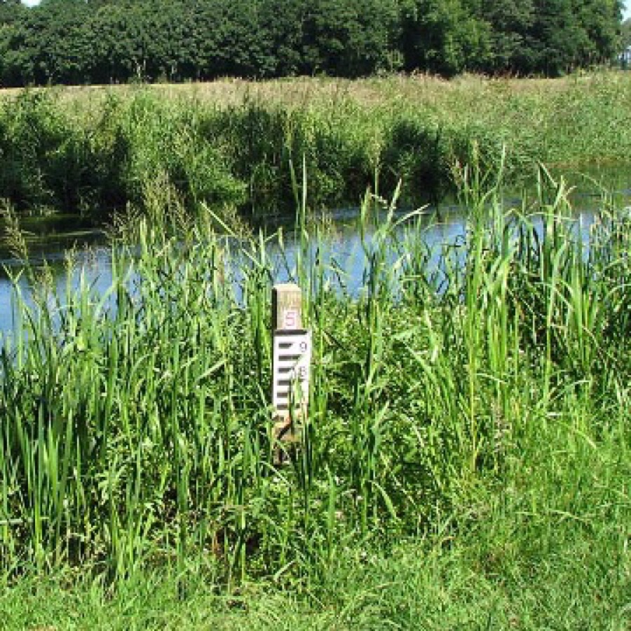 A water-level staff gauge board beside a river, marked like a vertical ruler so water height can be checked visually.